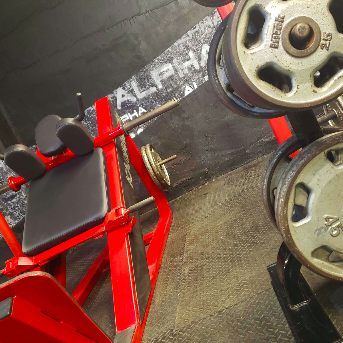 Alpha Fitness NJ - Sussex County's Best Gym in Newton NJ